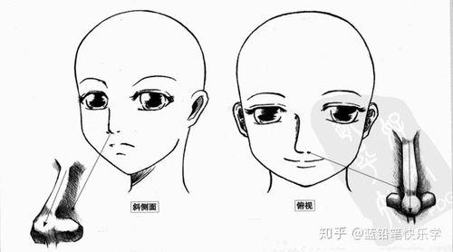 漫画正面鼻子,探寻正面鼻子的趣味故事