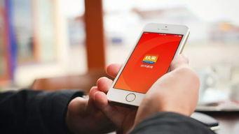 成人快手机直播app,潮流娱乐新趋势